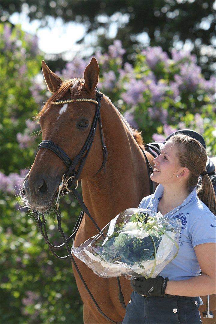 Dansk Varmblod Atterupgaards Cassidy - Cassidy allerførste dag på Kumle <3 billede 6