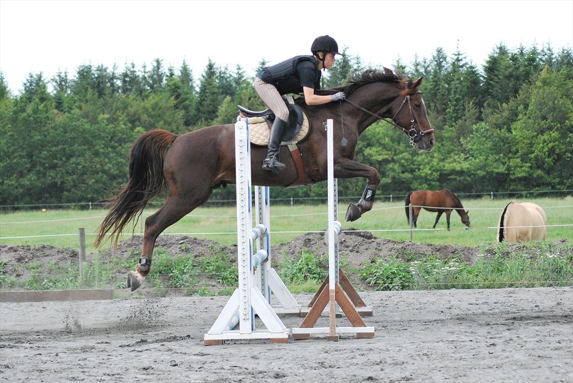 Oldenborg Egelund Nova - Sidste springtræning på Tronsø.
Fotograf: Hanne Pedersen :) billede 19