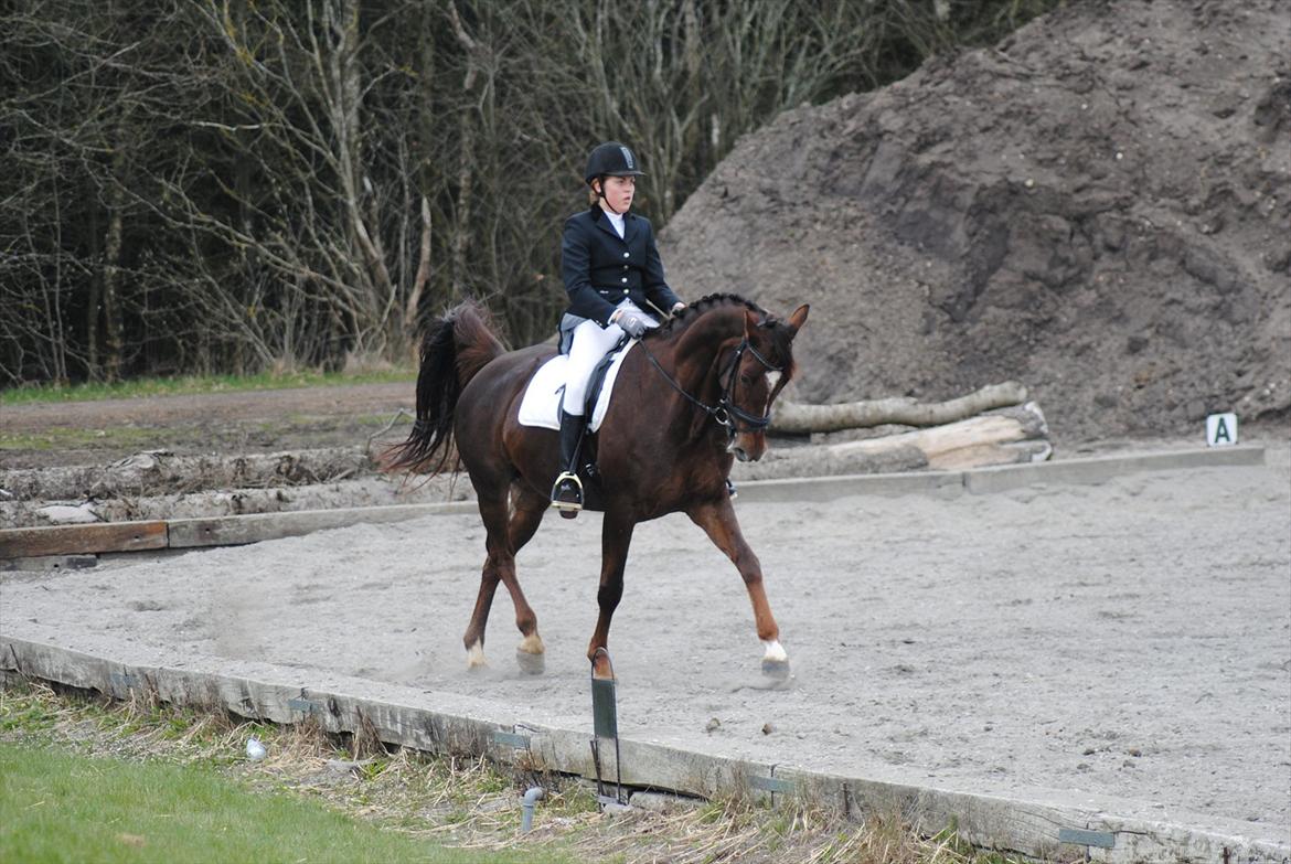 Oldenborg Egelund Nova - Stævne på Tronsø. Her i vores første LA1. 
Fotograf: Maiken Nielsen :) billede 20
