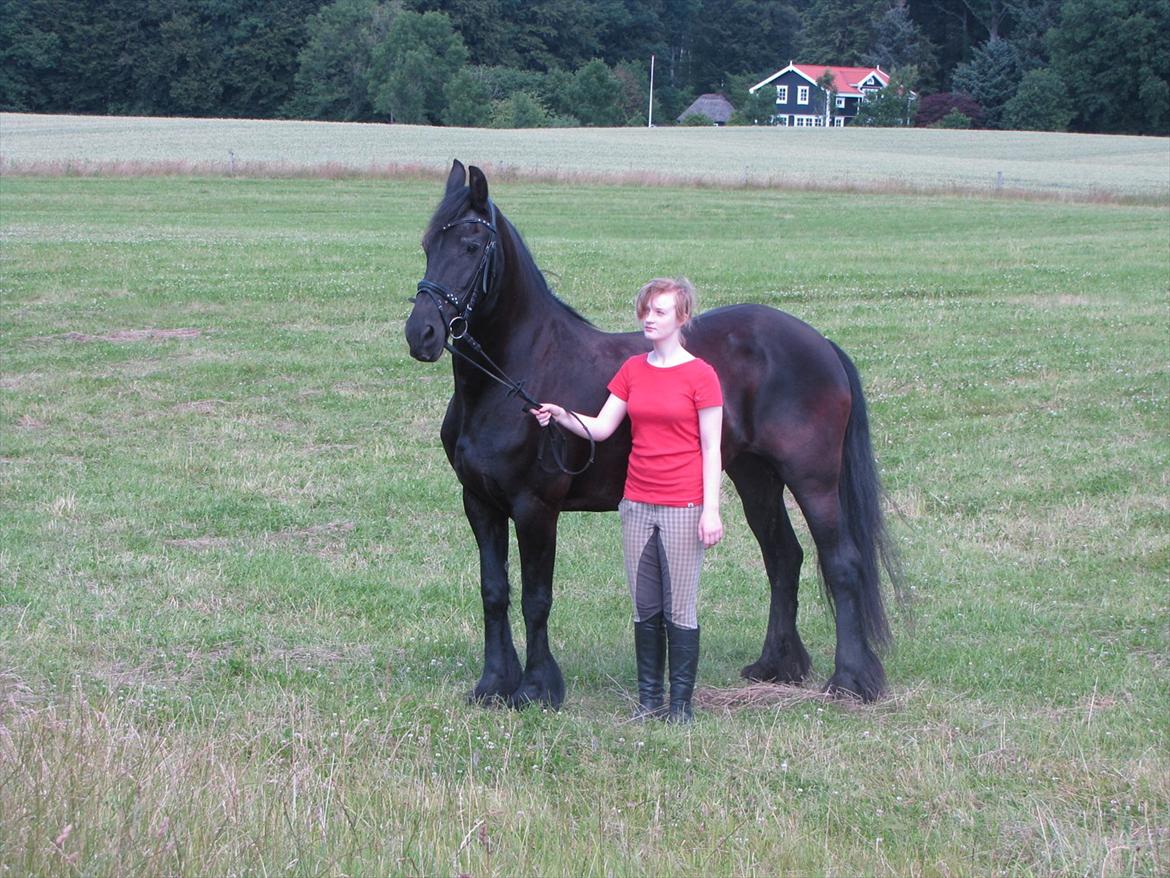 Frieser Jeike P(Passer) billede 6