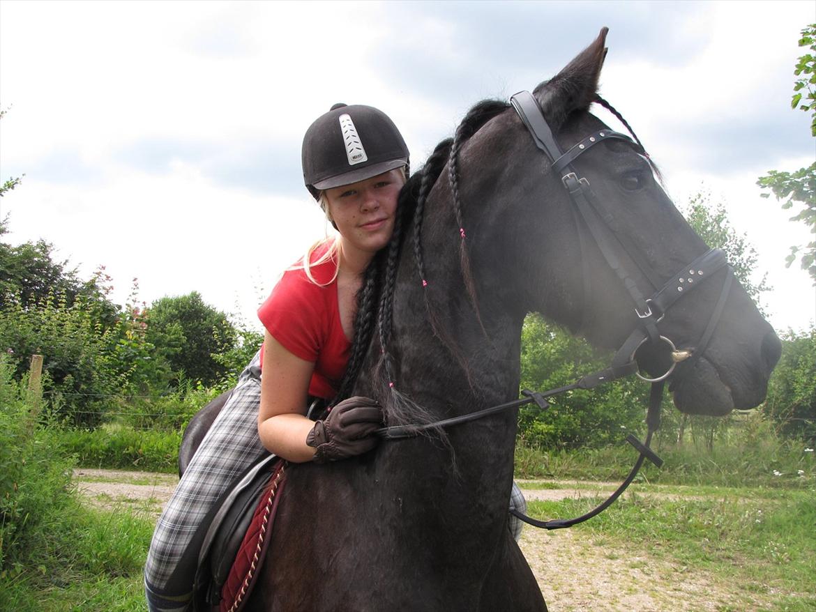 Frieser Jeike P(Passer) billede 8