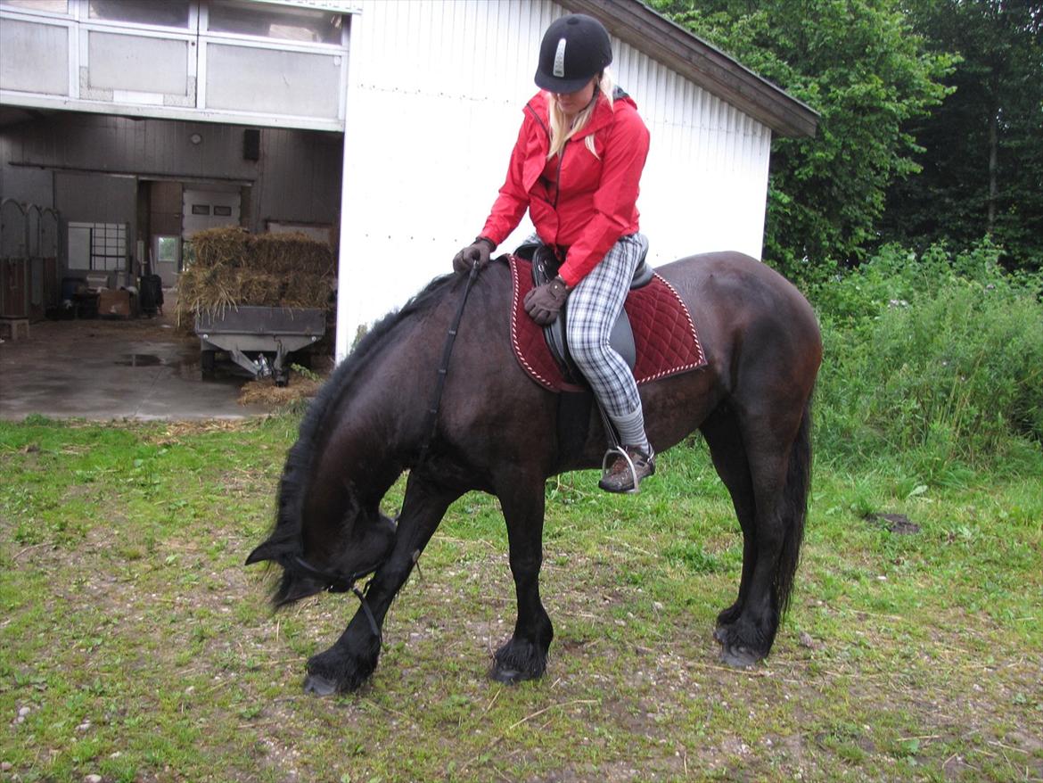 Frieser Jeike P(Passer) - Kløe kløe... billede 11