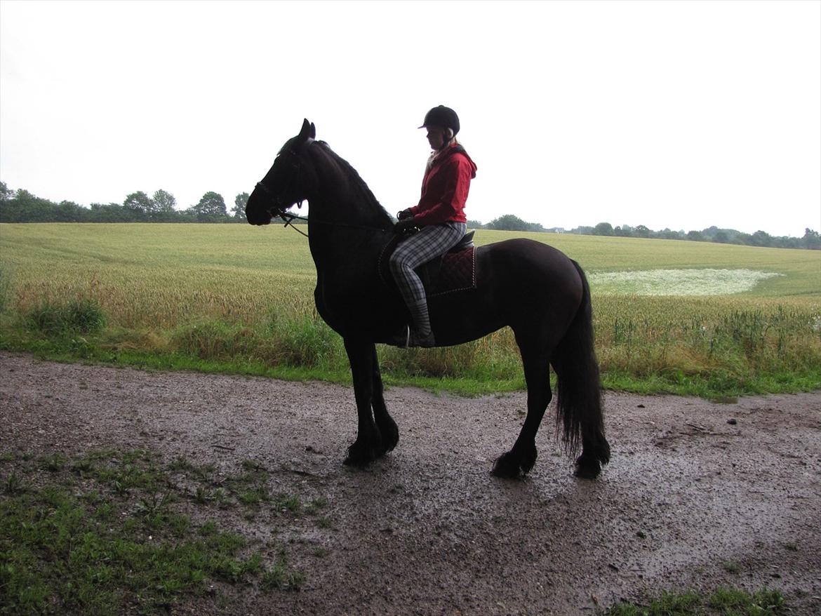 Frieser Jeike P(Passer) billede 12