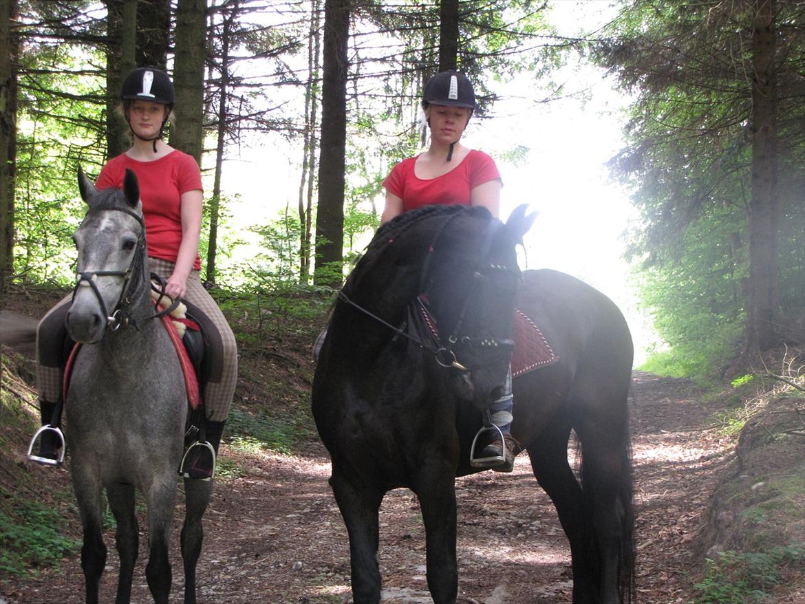 Frieser Jeike P(Passer) - En sommeraften i skoven billede 13