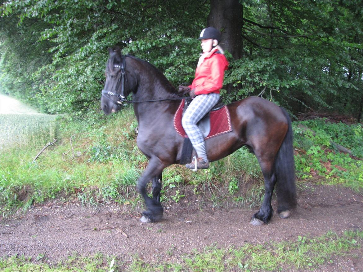 Frieser Jeike P(Passer) billede 14