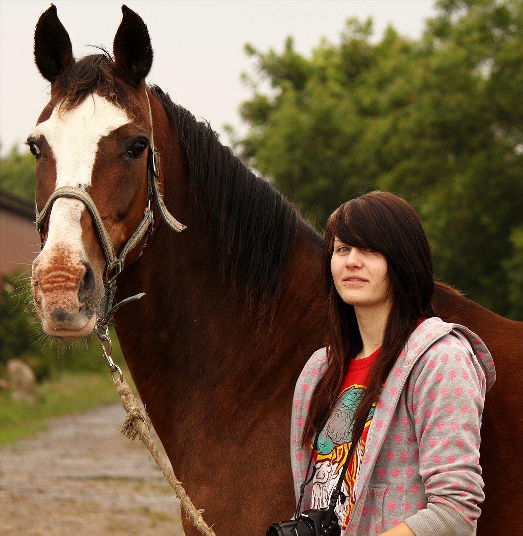 Zangersheide GESS ALFARVAD Z - *Min smukke hest <3 *Fotograf: Nanna Carlsen (Dogpaw.dk) billede 13