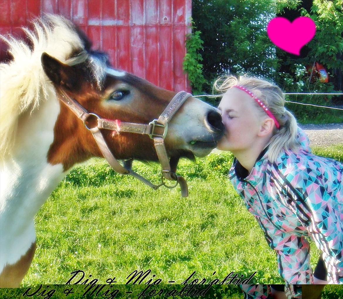 Anden særlig race KIKI BABY - Engang var du smilet på mine læber, nu er du tårerne på min kind... Jeg savner dig .<3 billede 5