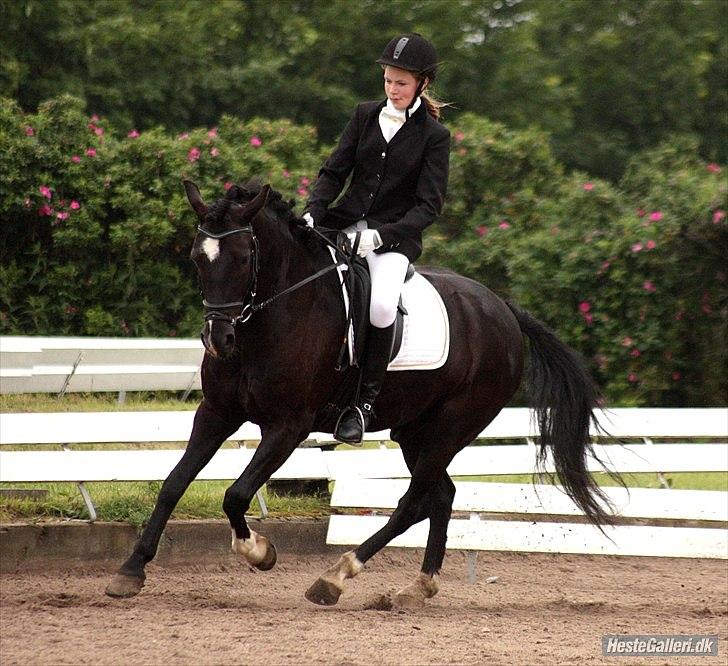 Anden særlig race Arkiball <3 - LB1 til udv. klubstævne på TURK :) 
2. plads med 62,50% <3
Fotograf: Barløse billede 7