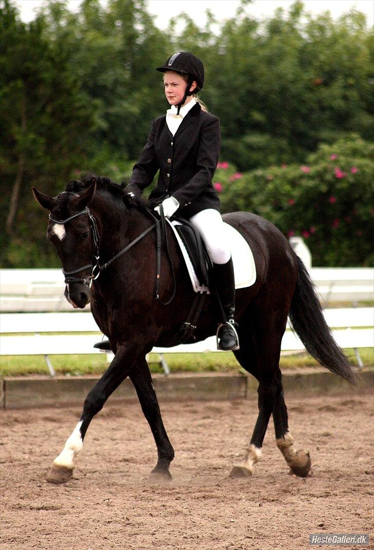 Anden særlig race Arkiball <3 - LB3 til udv. klubstævne på TURK :) 
1. plads med 64,xx%  <3 (Første stævne)
Fotograf: Barløse billede 20