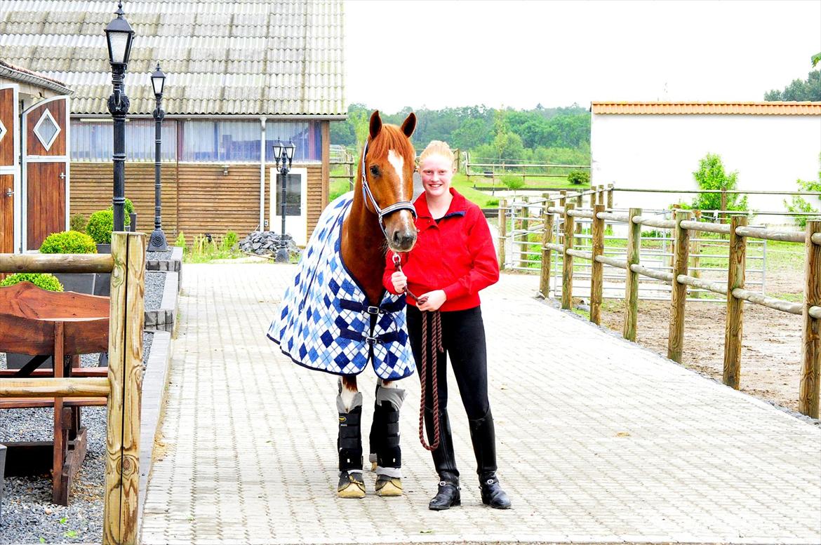 Anden særlig race Jazzo A-pony - You make me smile every day <3 Taget af: Camilla Lydiksen :-) billede 2