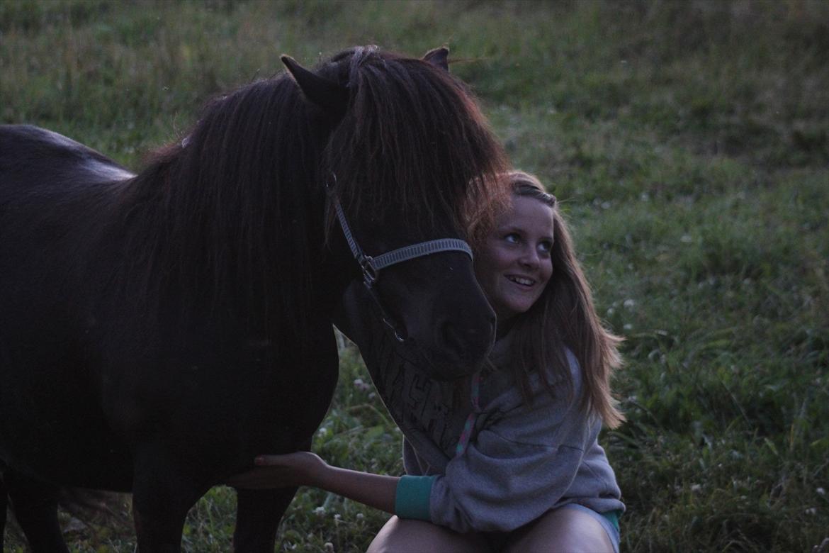 Shetlænder Magnum :) NUMSEN :D <3 - Mig og Bøllen <3 billede 19