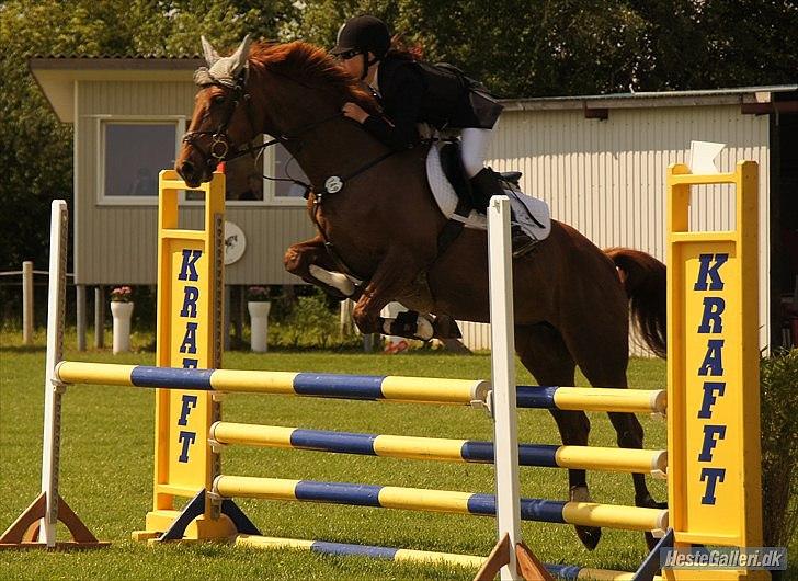 Dansk Varmblod Bona´s Fair Lucca (SOLGT 16.7.2011) - saml dog din ben skat.. billede 15