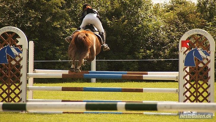 Dansk Varmblod Bona´s Fair Lucca (SOLGT 16.7.2011) - HOLD FAST MOR.. jeg springer til nu.. Puha. der kunne jeg vist have fået en flyve tur billede 17