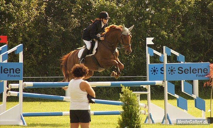 Dansk Varmblod Bona´s Fair Lucca (SOLGT 16.7.2011) - Fordi du altid prøve dit bedste..  billede 18