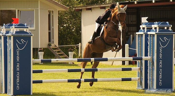 Dansk Varmblod Bona´s Fair Lucca (SOLGT 16.7.2011) - LB spring.. første springstævne billede 19