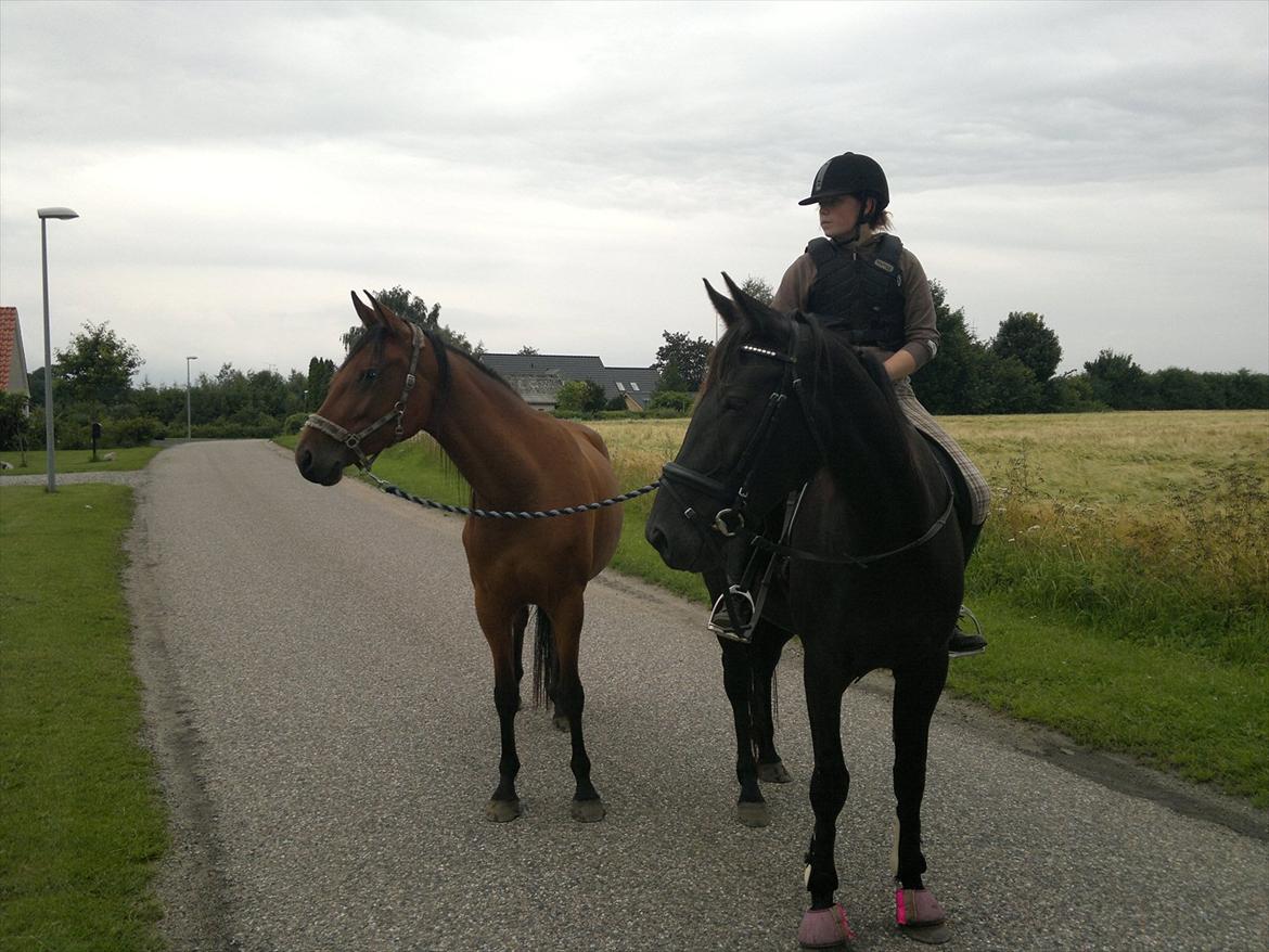 Anden særlig race Uzuri - På tur :) billede 10