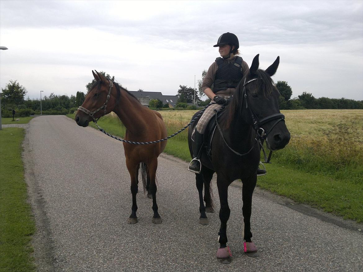 Anden særlig race Uzuri - På tur :) billede 12