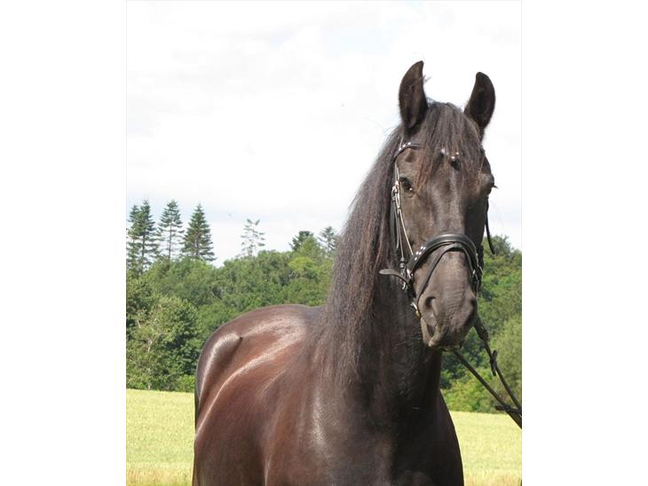 {{currentPhoto.altText}} billede {{currentPhoto.number}}