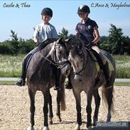 Anden særlig race [ Maybeline ] :-*