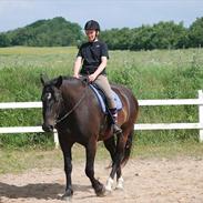 Oldenborg Hercules