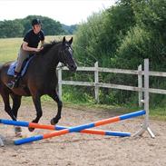 Oldenborg Hercules