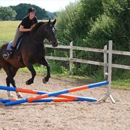 Oldenborg Hercules
