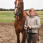 Anden særlig race Chili