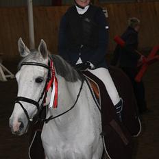 Dansk Varmblod LORETTA