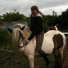 Tinker Disney - min bedste ven [Solgt]