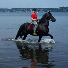 Frieser Jeike P(Passer)