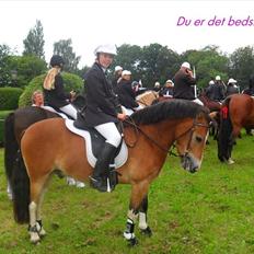 Anden særlig race Fernando