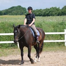 Oldenborg Hercules