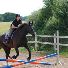 Oldenborg Hercules