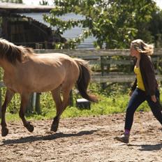 Anden særlig race Karlsbjerggårds Surprise 