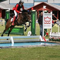 Anden særlig race FlyingSuprice A-pony