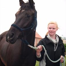 Oldenborg Sokhøjs Felix