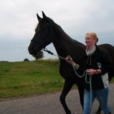 Oldenborg Sokhøjs Felix