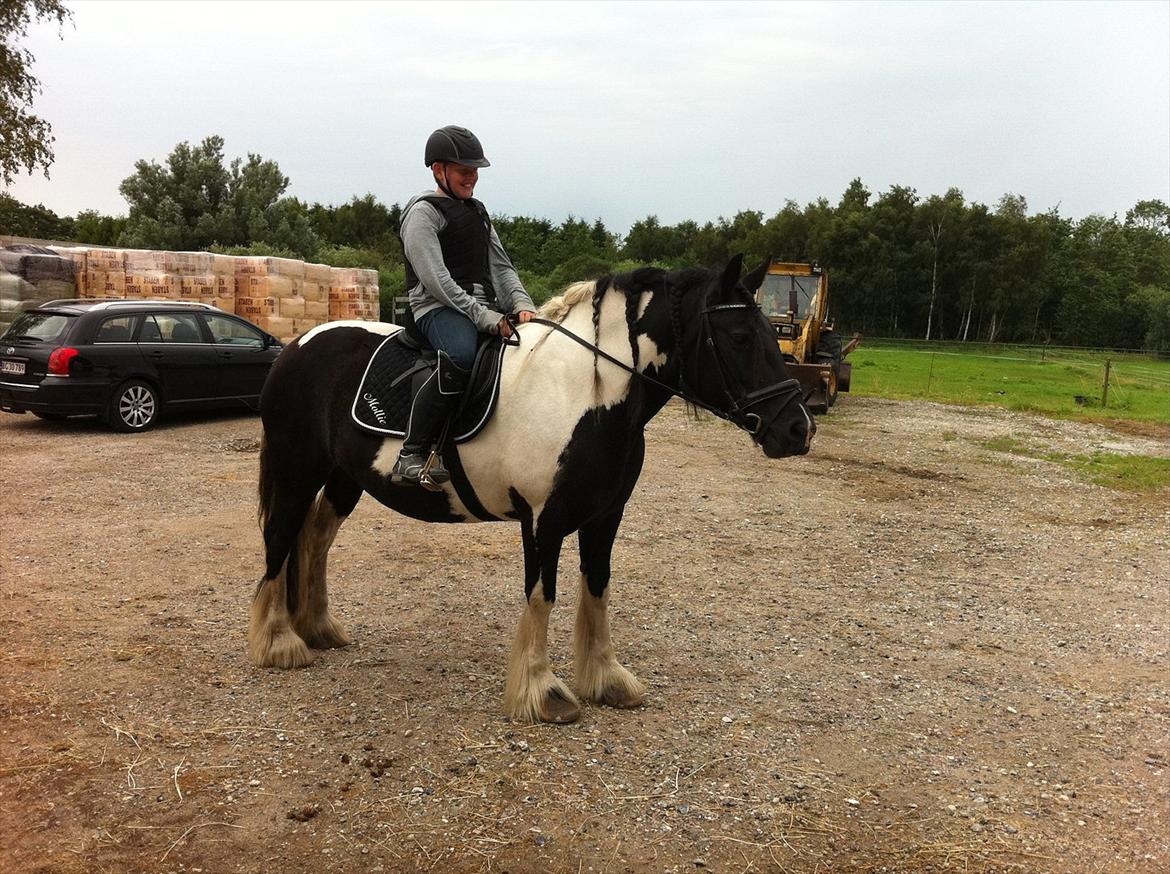 Tinker mollie billede 15