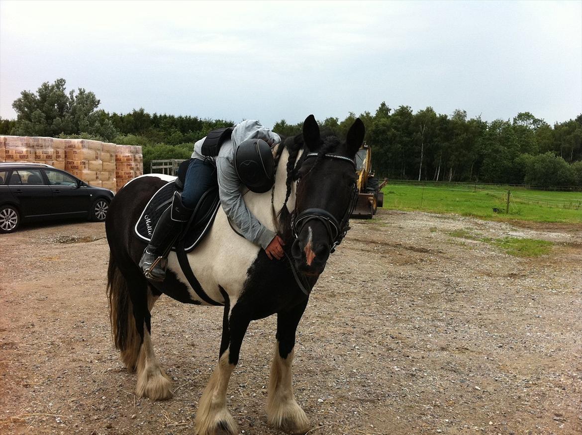 Tinker mollie billede 16