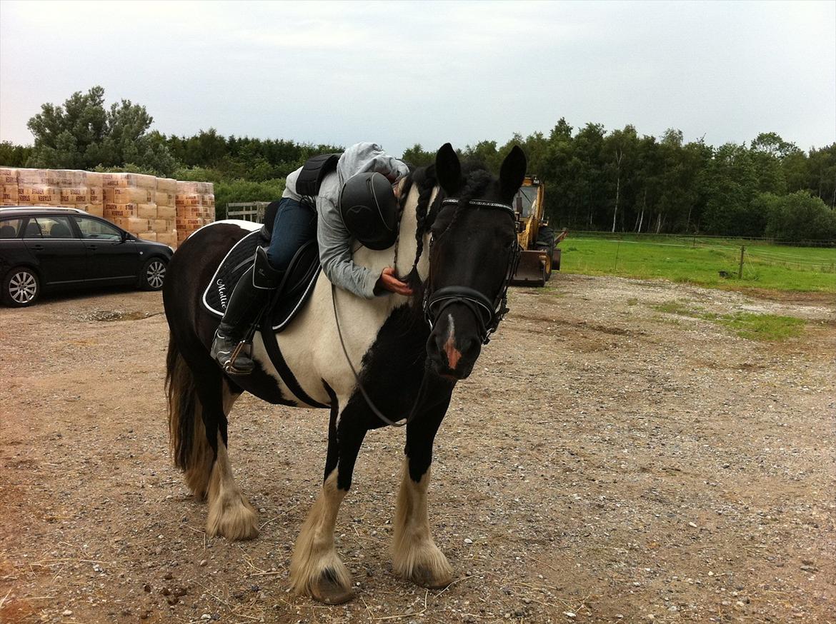 Tinker mollie billede 17