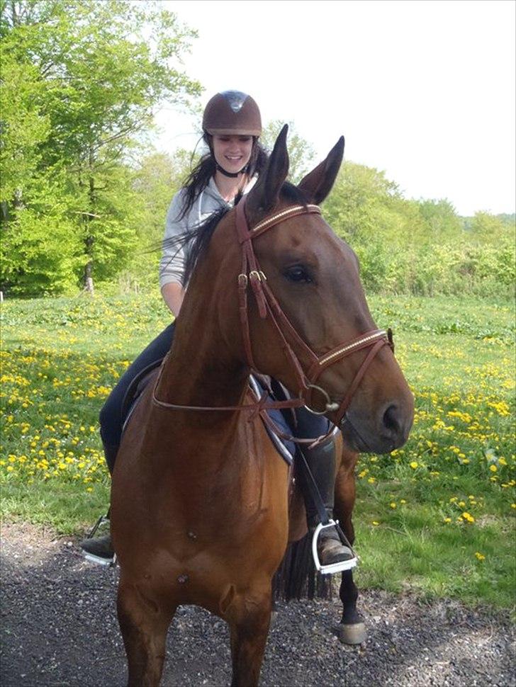 Holstener Vinson - På tur. billede 1