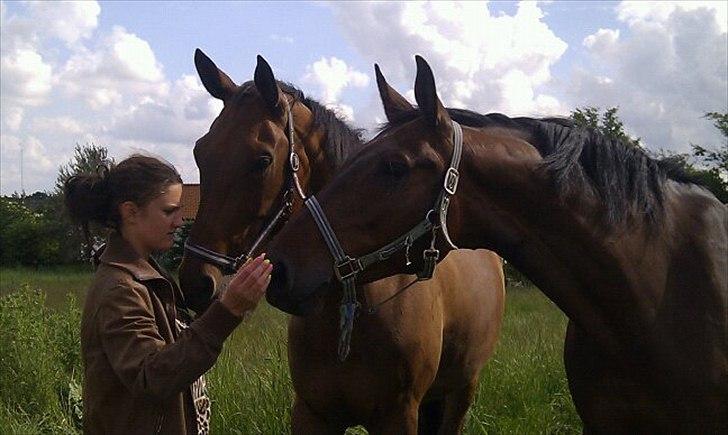 Holstener Vinson - Vinson til venstre. Hans bror Vincent til højre.  billede 6