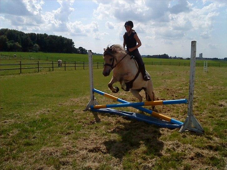 Fjordhest Højgaards Heisa (solgt) - Første gang over dette spring. 2. forsøg. 11. gang hun bliver redet. 10/7-11 billede 4