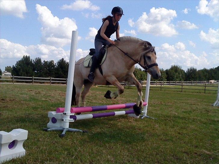 Fjordhest Højgaards Heisa (solgt) - Første gang og forsøg over oxer. 40cm. 11. gang hun bliver redet. 10/7-11 billede 5
