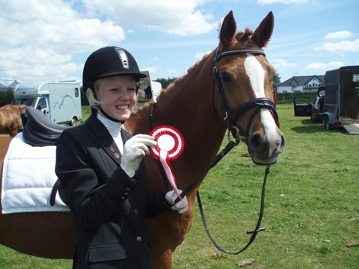 Tysk Sportspony Dimentjiva B-pony - 4.  billede 5