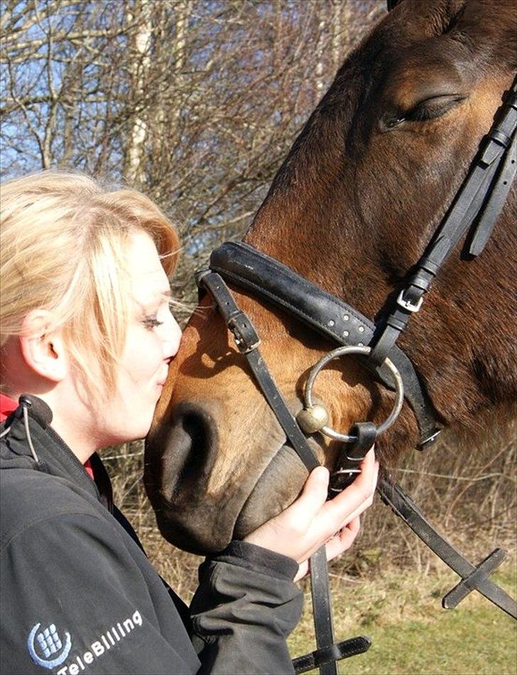 Dansk Varmblod Ran Frydenlund - Min søde Ran <3 billede 16