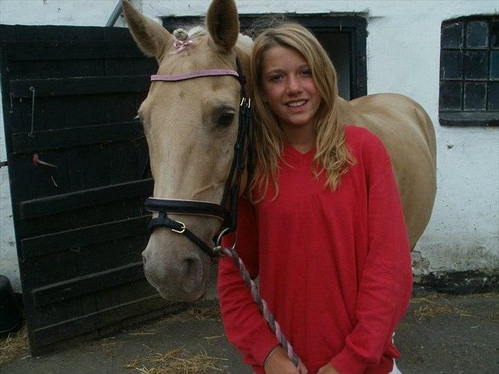 Palomino Cibelle  - ridelejr 2011, skønhedskonkurrence♥♥ billede 8