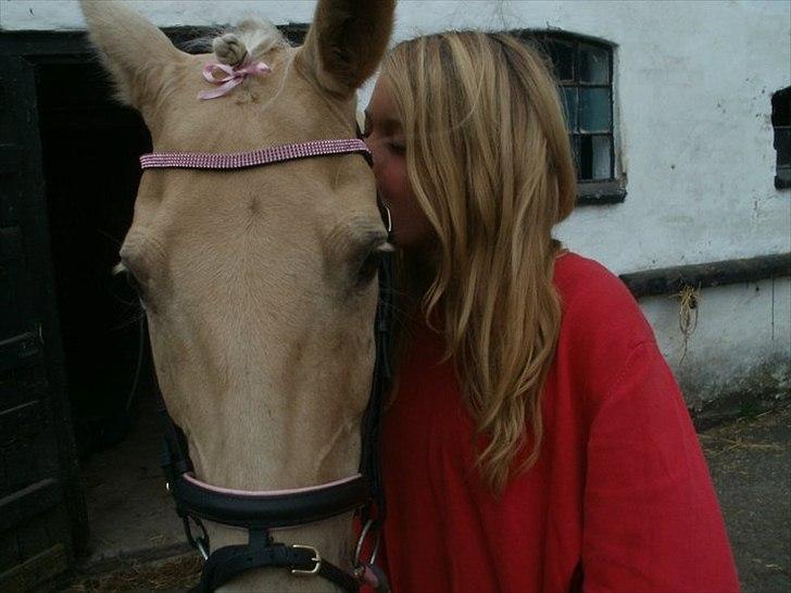 Palomino Cibelle  - ridelejr 2011, skønhedskonkurrence♥♥ billede 9