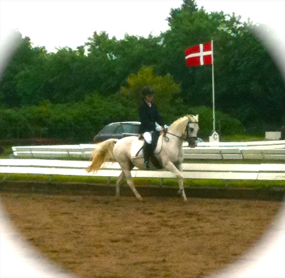 Anden særlig race Emma - Emma og Cecilie til stævne på Turk
Foto: Mig billede 3