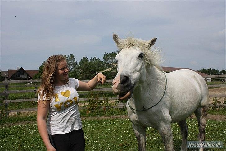 Pinto Rollo | Savnet & elsket foraltid | - 5. Alle vores fantastiske minder! :'D  Med dig kunne jeg være mig selv.. Helt fri & lykkelig.. Det føltes så tomt uden dig nu? Foto: Signe. billede 5